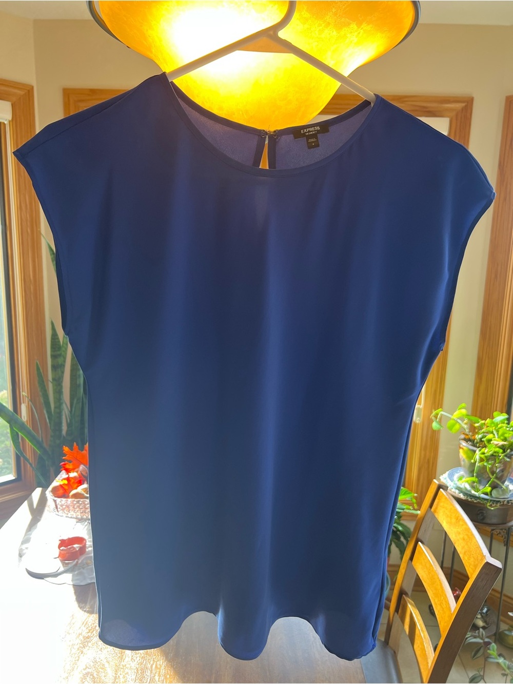 Express Blue Blouse